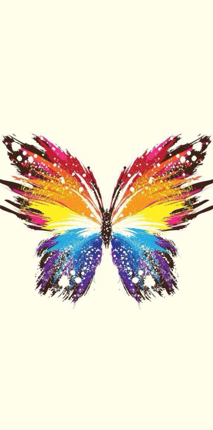 پروانه ی رنگی