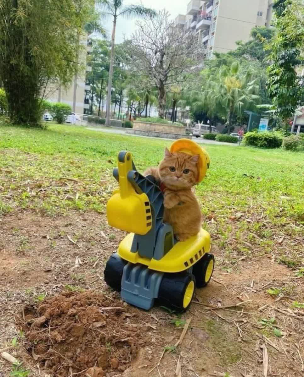 میوهندس🐱🚚 — فانتزی و جذاب باهوشک