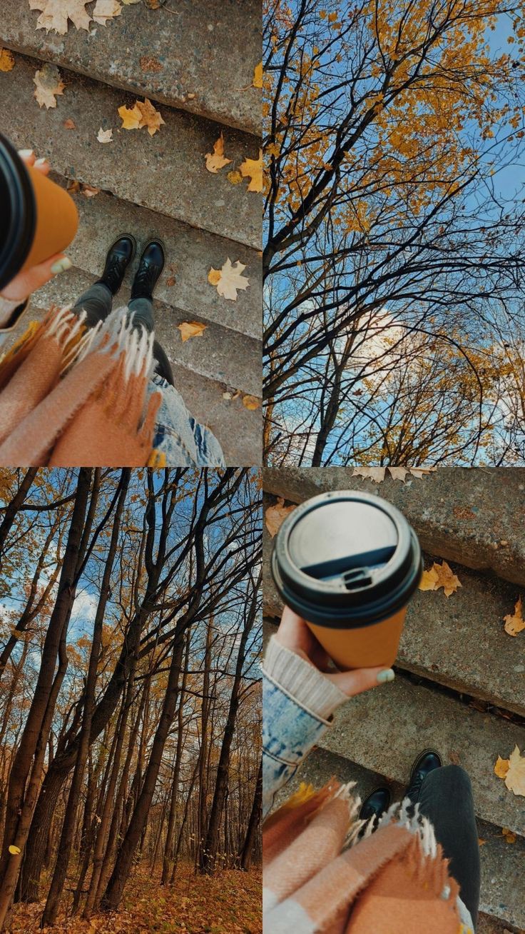 پایز🍁🥀 — فیلم و انیمیشن باهوشک