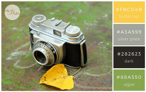 ترکیب رنگهای خاکستری، سبز و زرد و مشکی